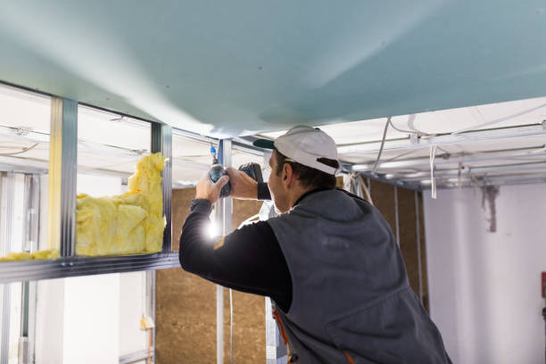 Best Insulation Installation Services in Kaufman, TX