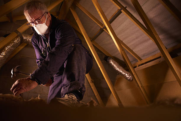 Best Specialty Insulation in Kaufman, TX